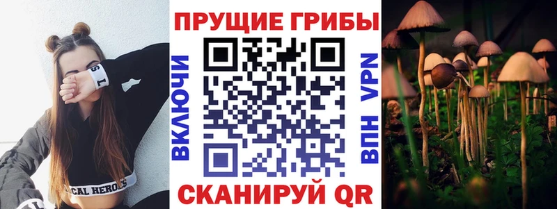 Галлюциногенные грибы Psilocybine cubensis  Купить закладки  Ивдель 